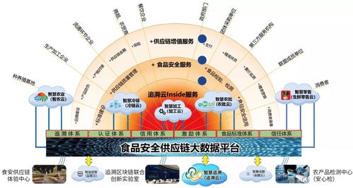 科技賦能保食安 網絡信息技術開發助力盤錦鄉村振興